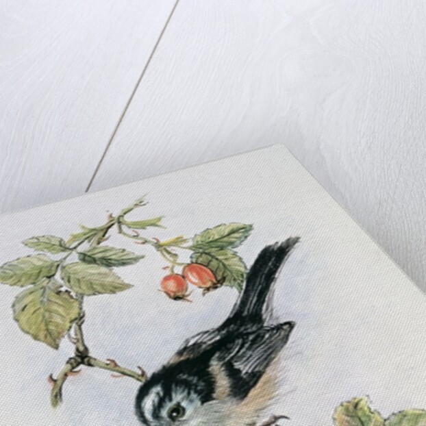 Long-tailed tit and rosehips by Nell Hill