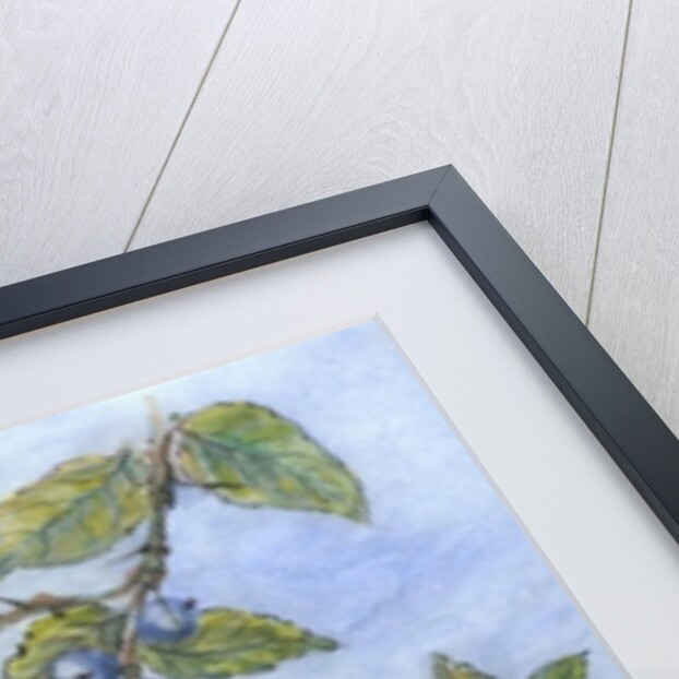 Tit in blackthorn and sloe by Nell Hill