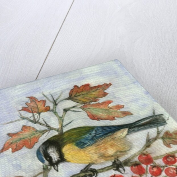 Blue Tit on Hawthorn by Nell Hill