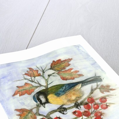Blue Tit on Hawthorn by Nell Hill