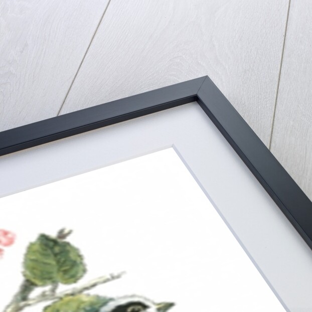 Long tailed tit and cherry blossom by Nell Hill