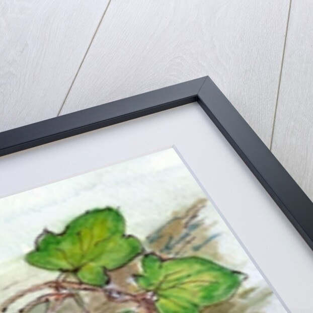 Log of Ivy, Holly and Hazelnuts by Nell Hill