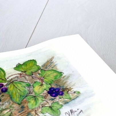 Log of Ivy, Holly and Hazelnuts by Nell Hill