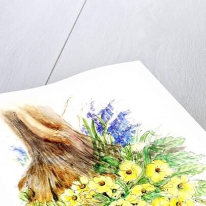 Spring Woodland by Nell Hill
