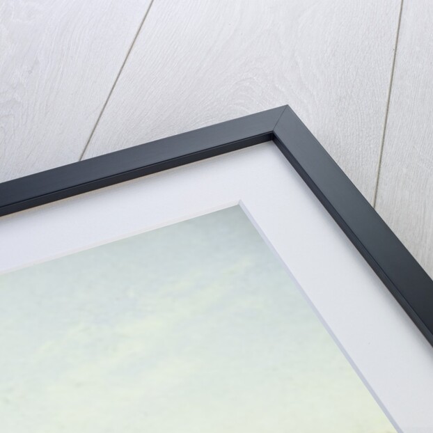 Battery Marion, November 4, 1863 by Conrad Wise Chapman