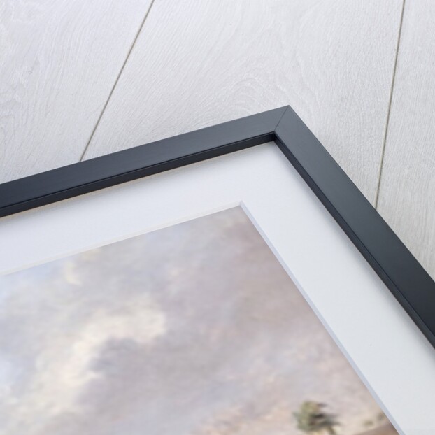 Battery Rutledge, December 3rd, 1864 by Conrad Wise Chapman