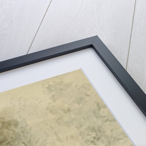 The Mansion, Centre Hill, Petersburg, Virginia by American School