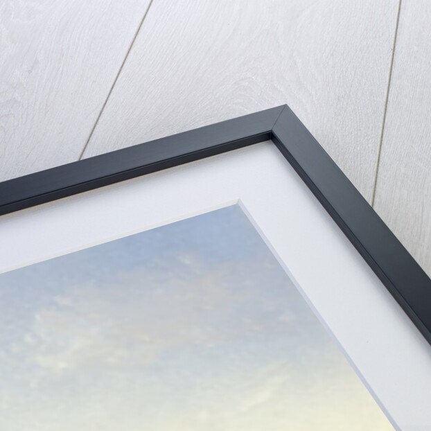 A Quaker battery by American School