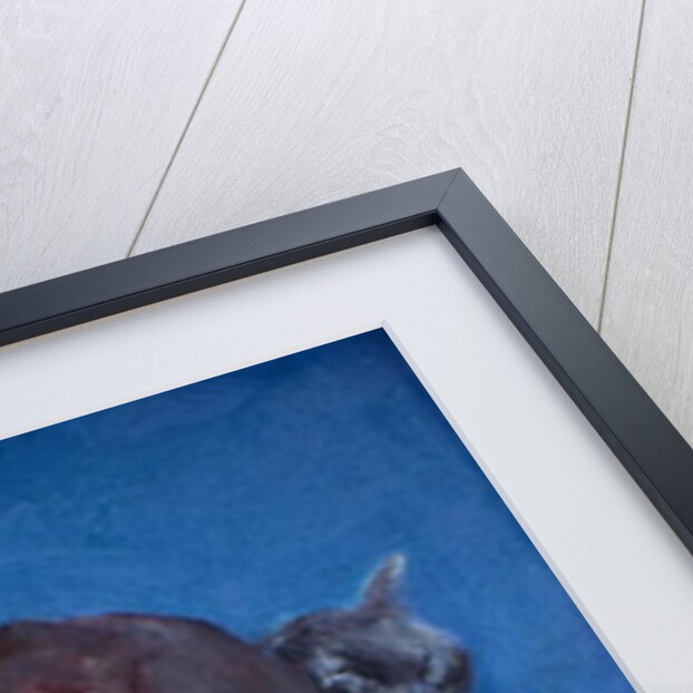 The Homework by Julie Held