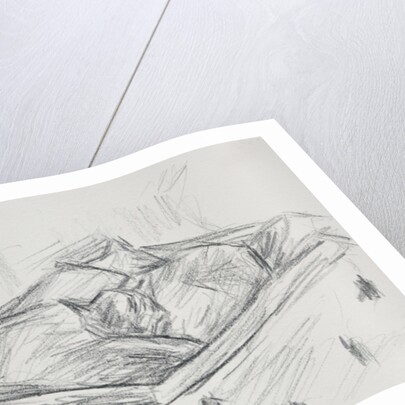 Cats Nestling, 2015 by Julie Held