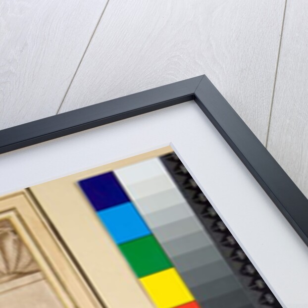 The so-called Coriolanus by Pietro Santi Bartoli