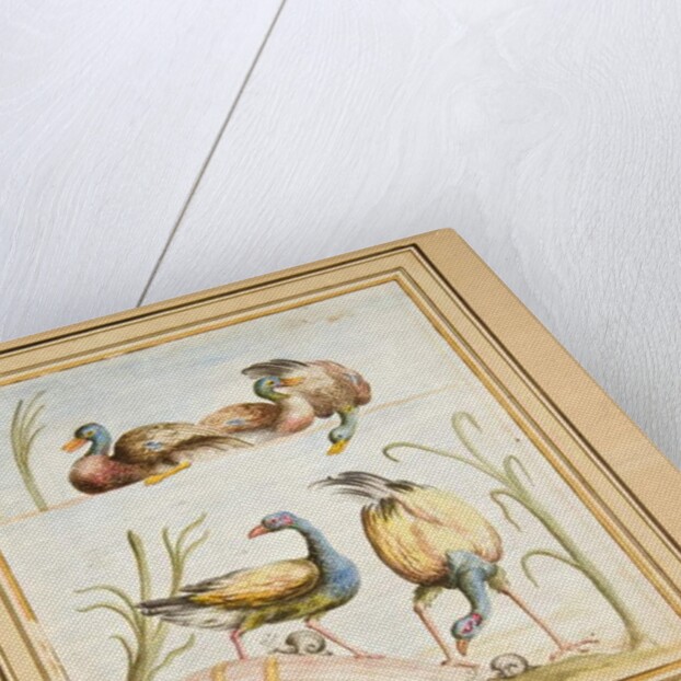 Copy of a mosaic with birds by Pietro Santi Bartoli