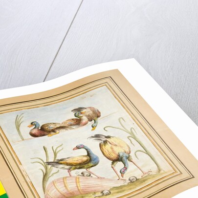 Copy of a mosaic with birds by Pietro Santi Bartoli