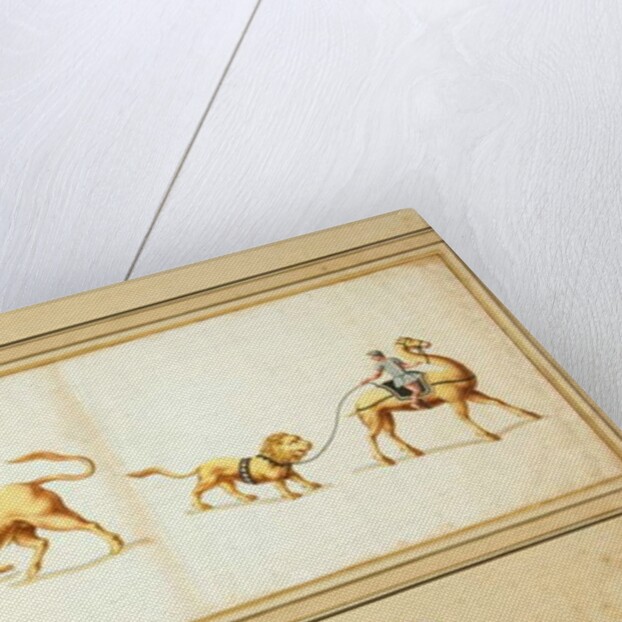 Copy of a mosaic of an Elephant fighting against a bull by Pietro Santi Bartoli