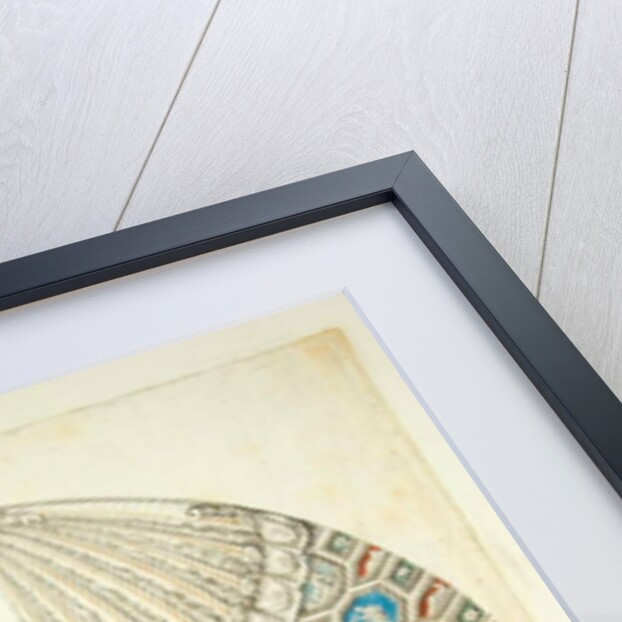 Vaulting of the Villa Madama by Pietro Santi Bartoli