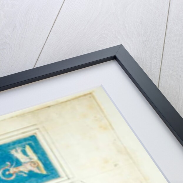 Vaulting of the Villa Madama by Pietro Santi Bartoli