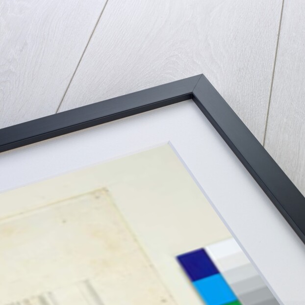 Vaulting of the Villa Madama by Pietro Santi Bartoli