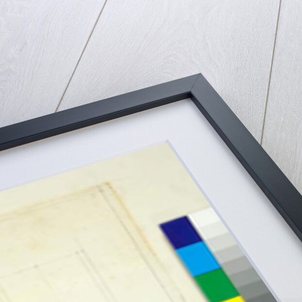 Vaulting of the Villa Madama by Pietro Santi Bartoli