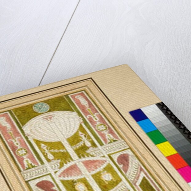 A Tripod on green ground by Pietro Santi Bartoli