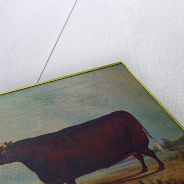 A North Devon Ox in a Landscape, 1837 by William Carmichael Baker