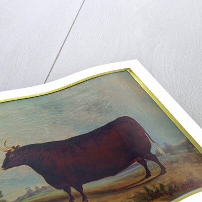 A North Devon Ox in a Landscape, 1837 by William Carmichael Baker