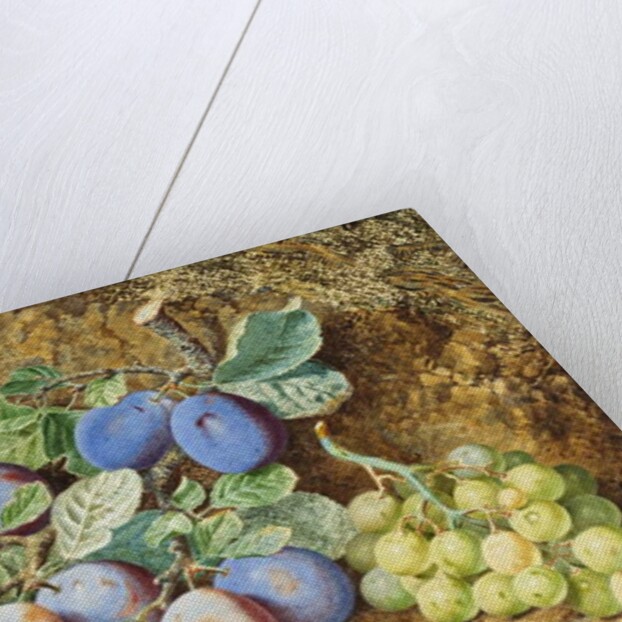 Plums and Grapes, 1877 by Thomas Collier