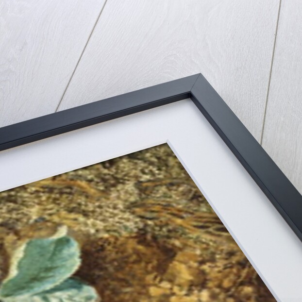 Plums and Grapes, 1877 by Thomas Collier