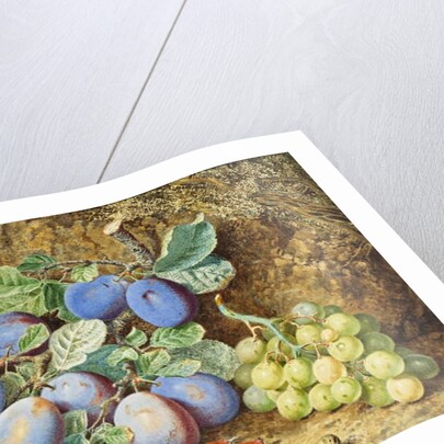 Plums and Grapes, 1877 by Thomas Collier