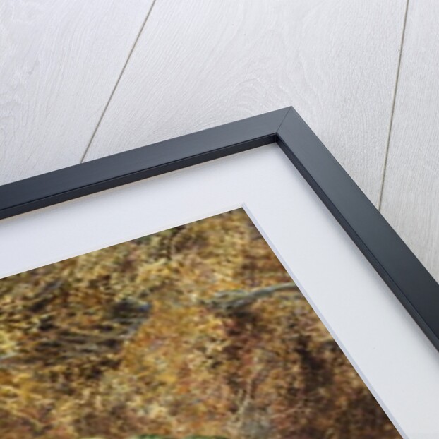 Grapes and Strawberries, 1877 by Thomas Collier