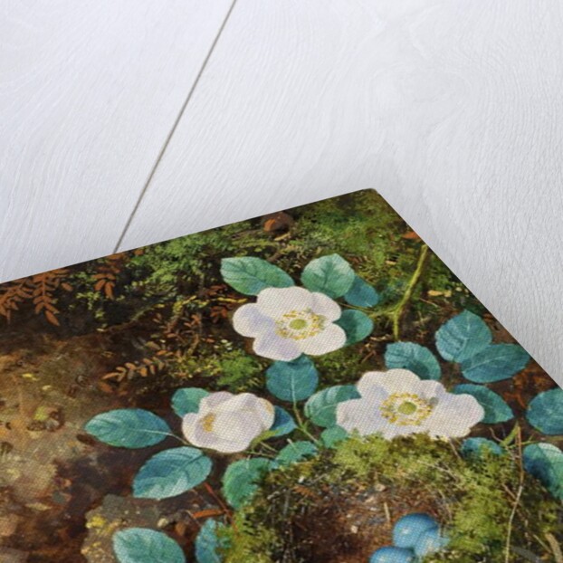 Still Life by William Cruikshank