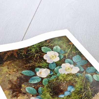 Still Life by William Cruikshank