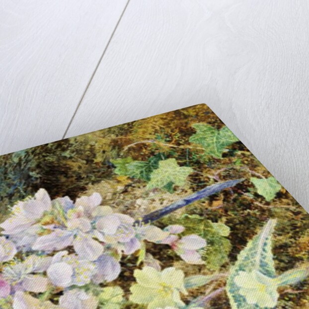 Almond Blossoms and Primroses, 1868 by John Jessop Hardwick