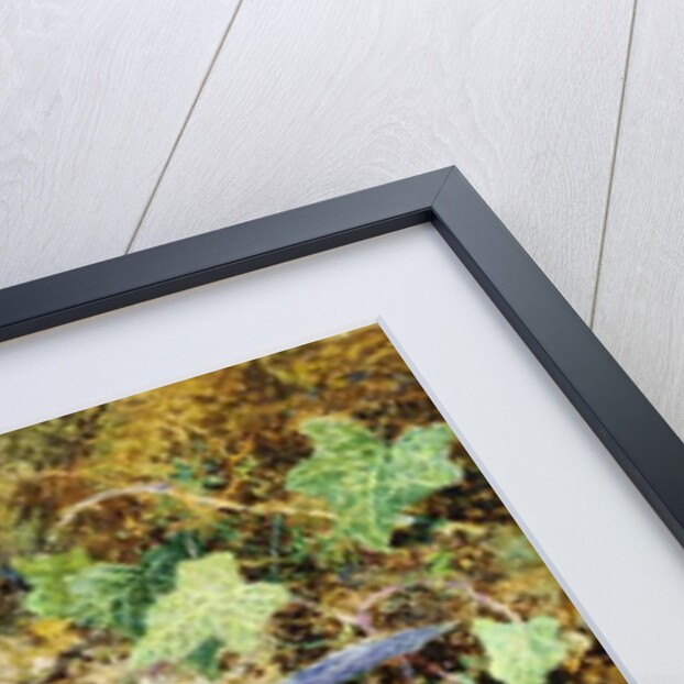 Almond Blossoms and Primroses, 1868 by John Jessop Hardwick