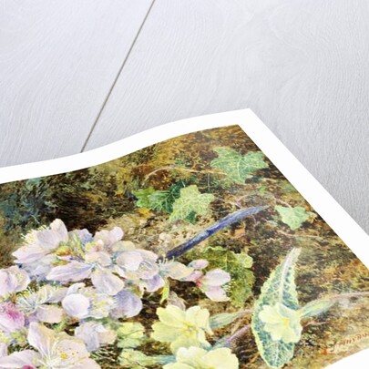 Almond Blossoms and Primroses, 1868 by John Jessop Hardwick