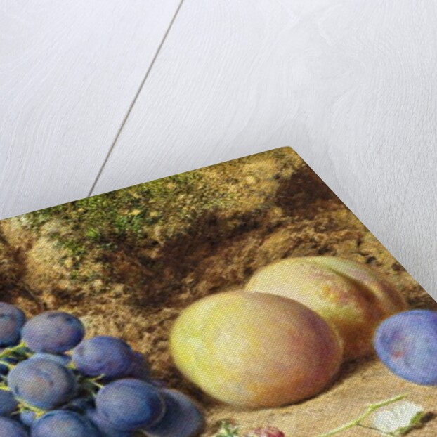 Black Grapes, Peaches, Apricots and Raspberries, c.1860 by William Henry Hunt