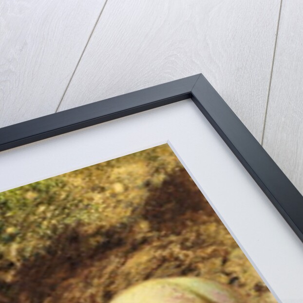 Black Grapes, Peaches, Apricots and Raspberries, c.1860 by William Henry Hunt