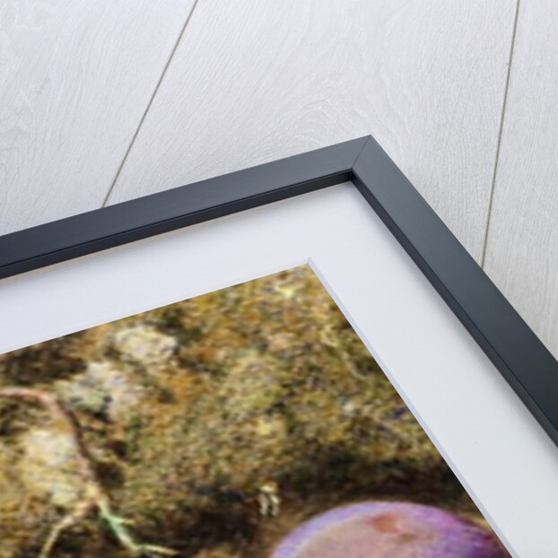 Ripe and Unripe Plums, c.1860 by William Henry Hunt