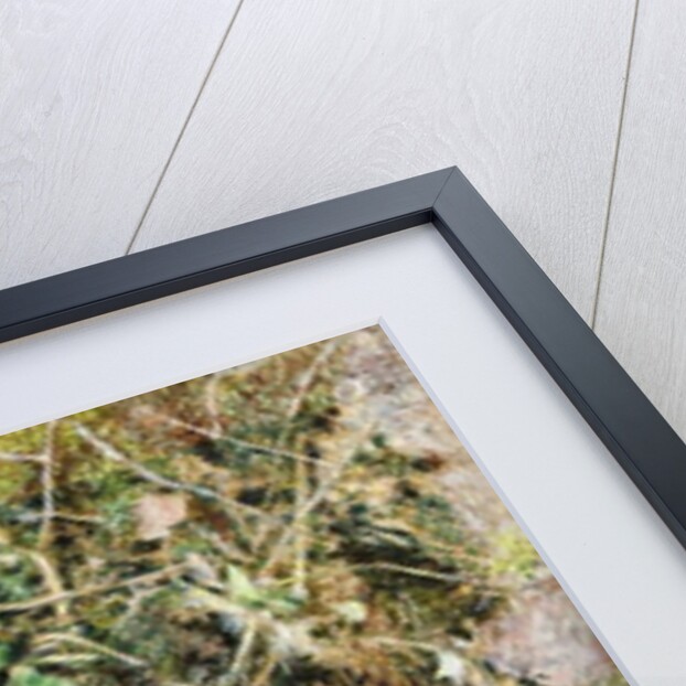 Black Grapes, Quince, and Newtown Pippin, 1861 by William Henry Hunt