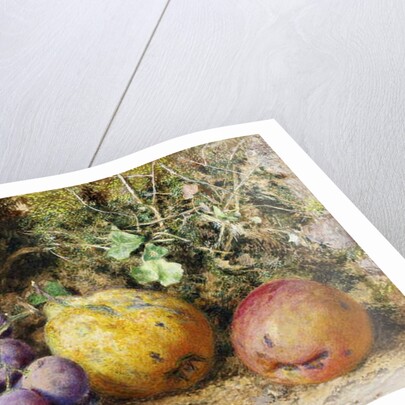 Black Grapes, Quince, and Newtown Pippin, 1861 by William Henry Hunt