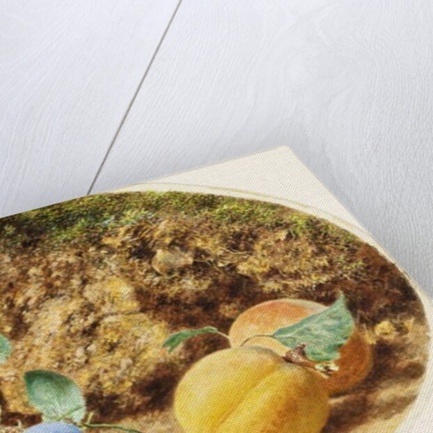 Purple Plums, Apricots and Woodnuts, c.1860 by William Henry Hunt