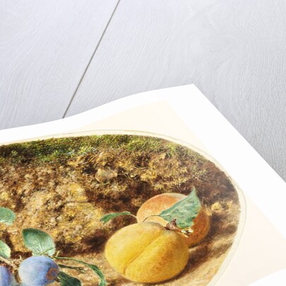 Purple Plums, Apricots and Woodnuts, c.1860 by William Henry Hunt