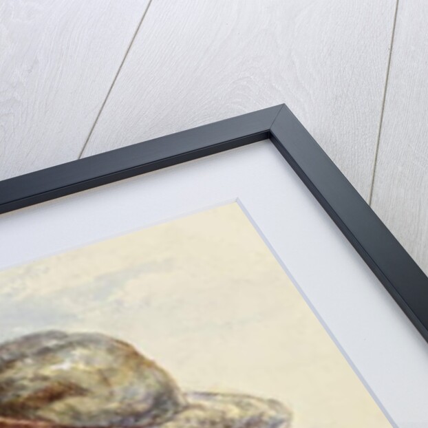 Study of a Fisherman, 1870 by James Drummond