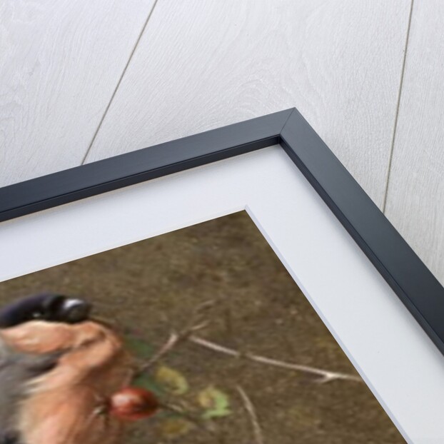 The Bullfinch by Edwin John Alexander