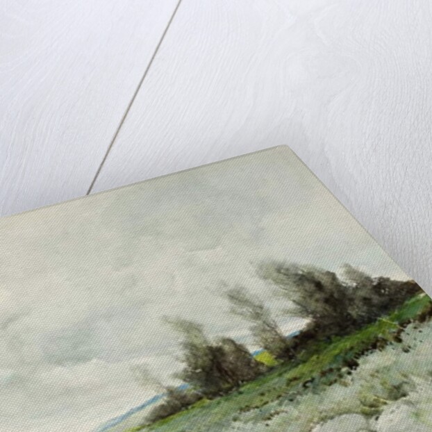 A Northumberland Road by Robert J. Hewitt