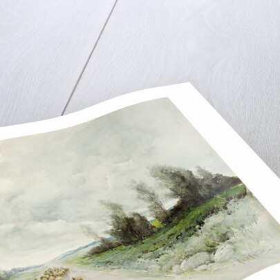 A Northumberland Road by Robert J. Hewitt