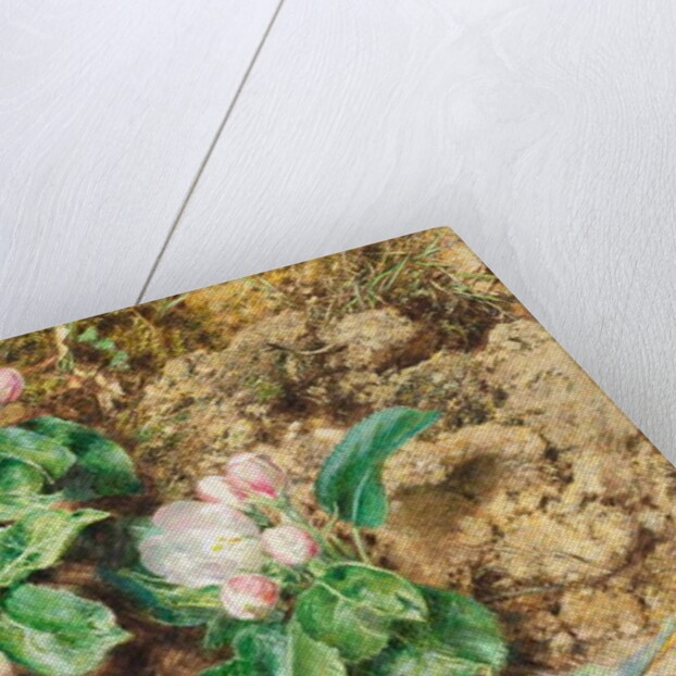 Bird's nest and apple blossom by William Henry Hunt