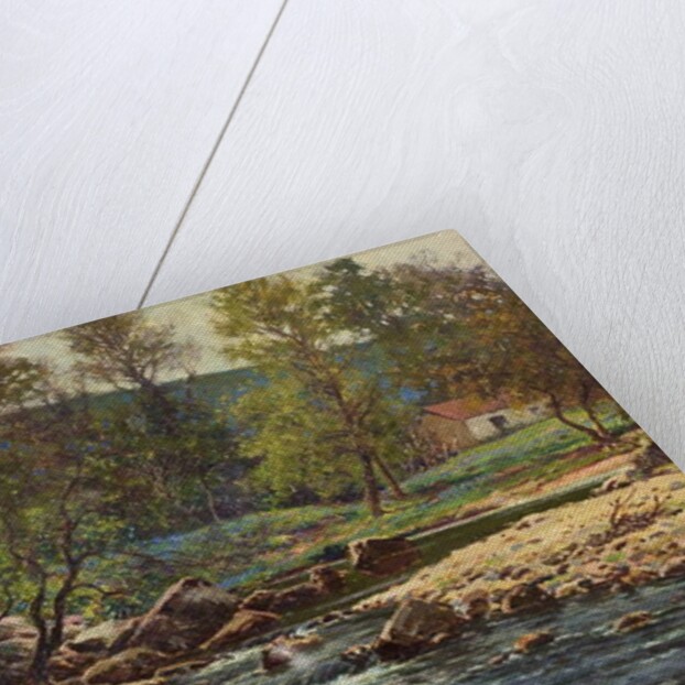 Springtime on the Wyre, Dolphinholme, 1906 by Reginald Aspinwall