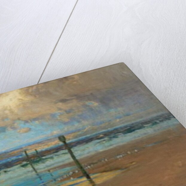 A Wind Swept Shore, 1903 by Arthur Meade