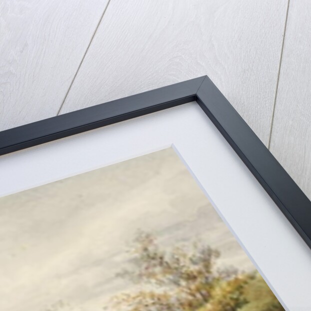 Landscape and Sheep by M.C. Parsons