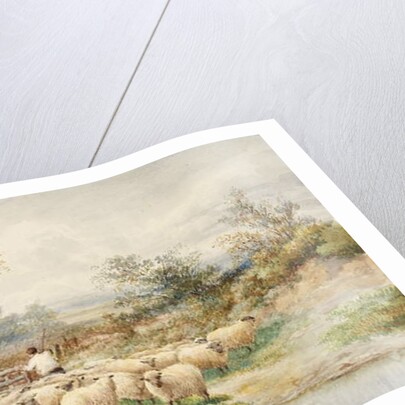 Landscape and Sheep by M.C. Parsons